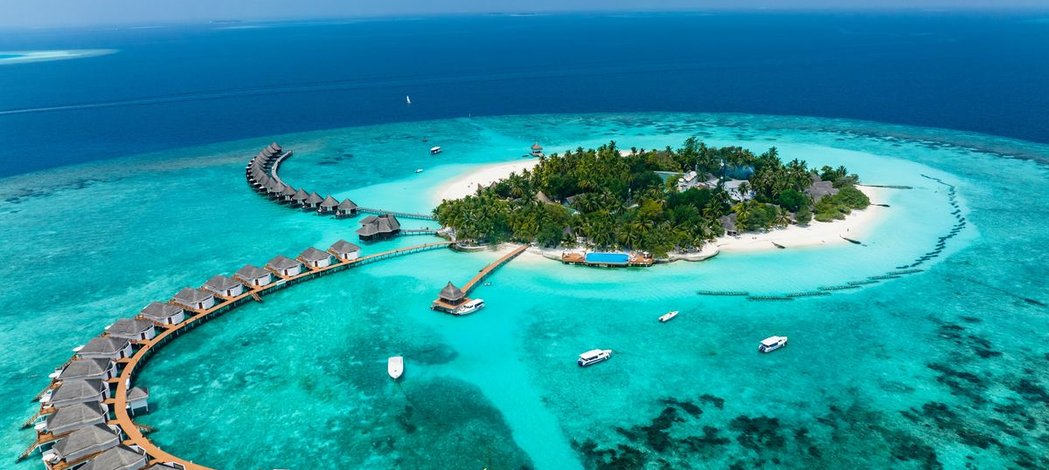 Bachelor Tunon Tourisme